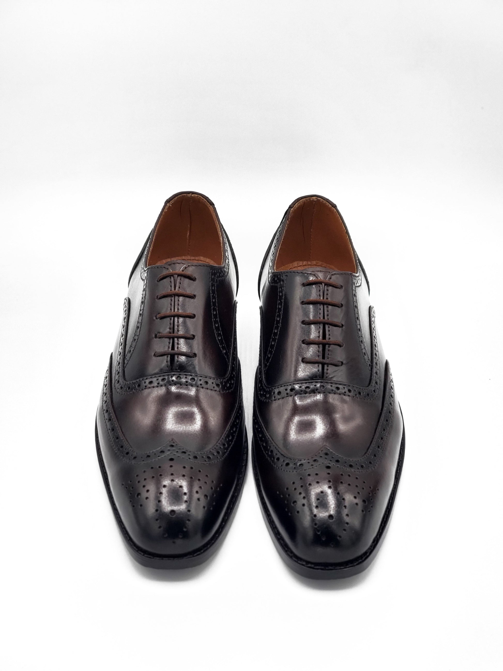 Royal Two Tone Brogue laced shoe - DeVogue